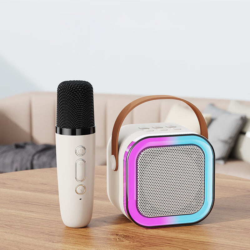 Karaoke Systeem met Draadloze Microfoons