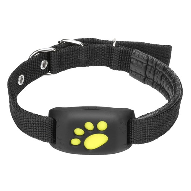 GPS Kat Tracker Real-Time Locatieapparaat Geofencing Alert