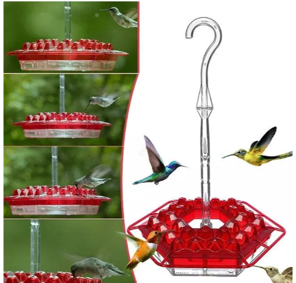 Hummingbird Voederhuisje Hangend Mierenproof