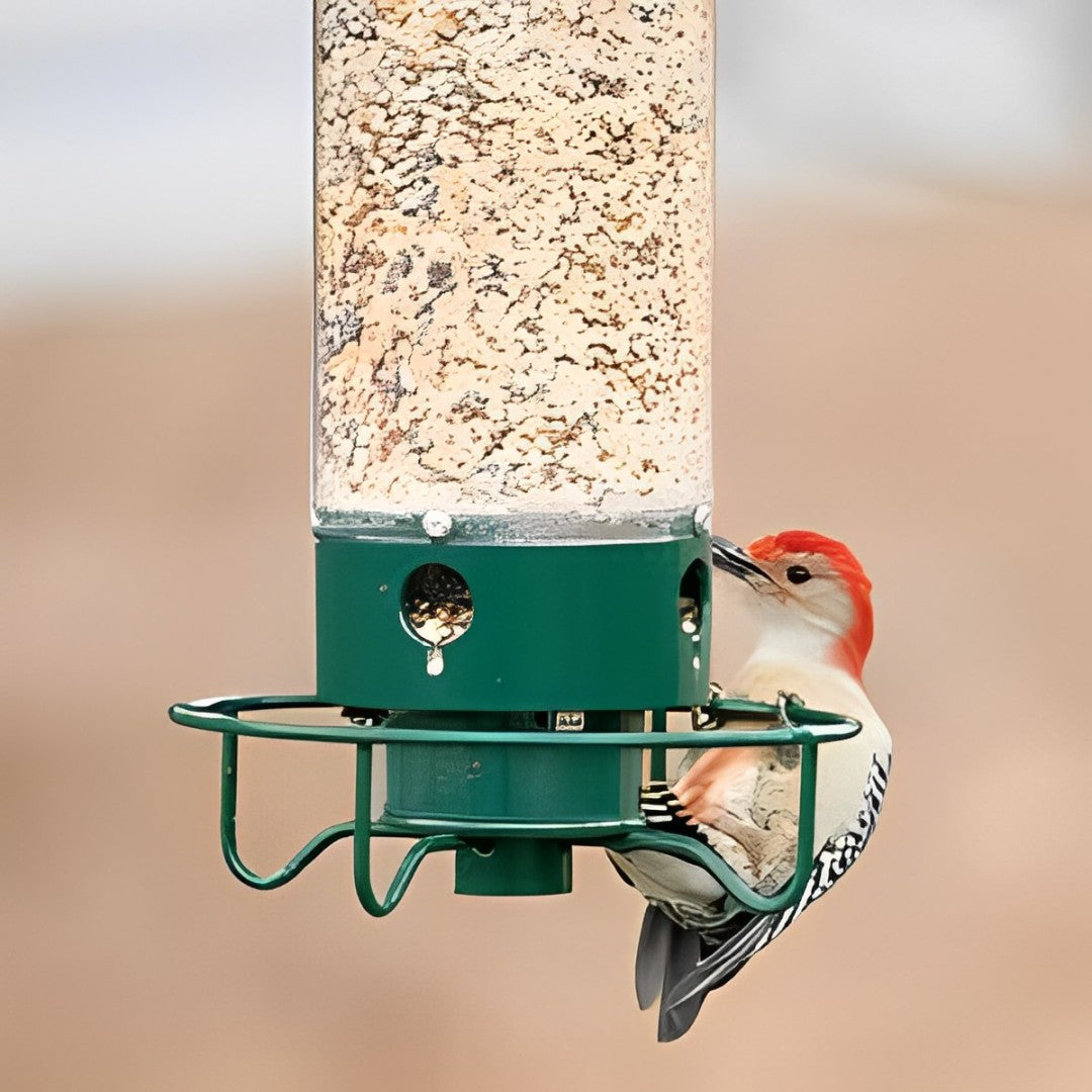 Eekhoornbestendige Vogelvoederhouder