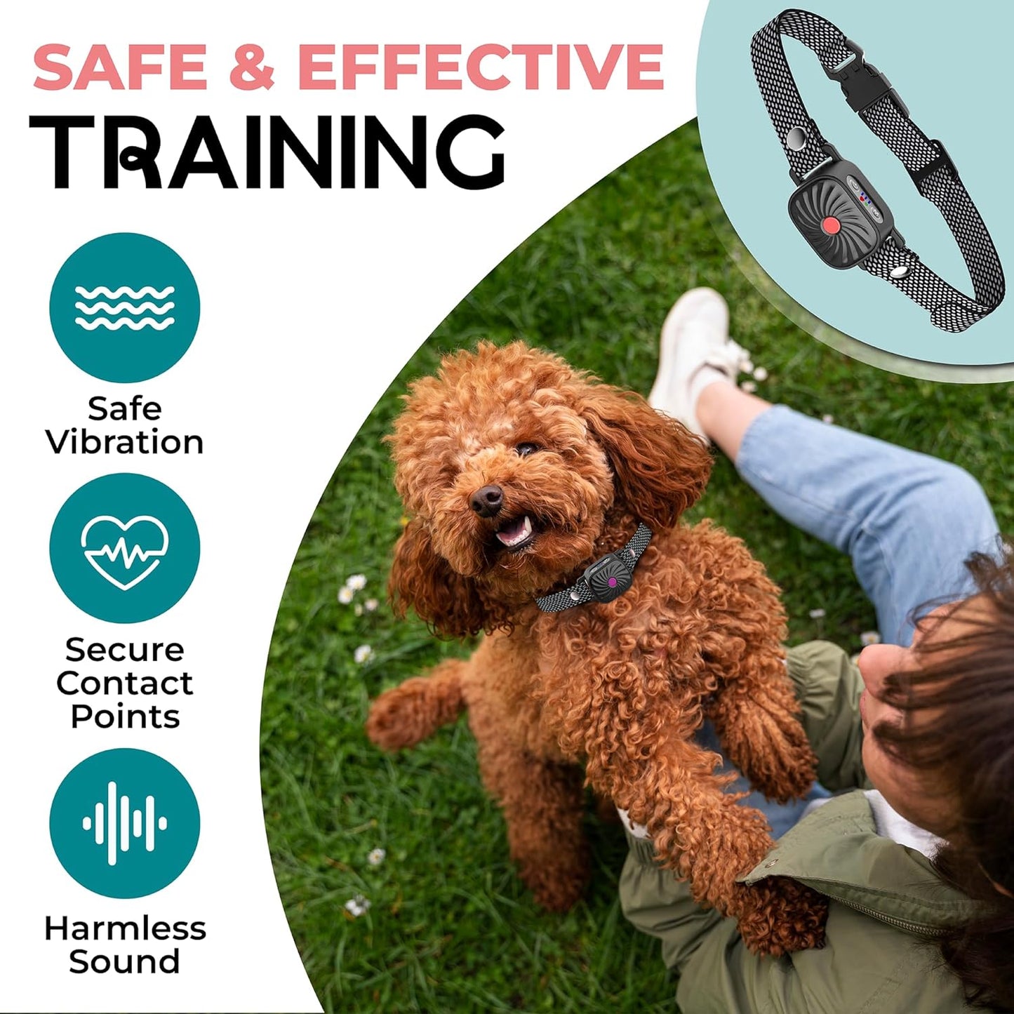 Blaasband Kleine Honden Anti-Blaasband