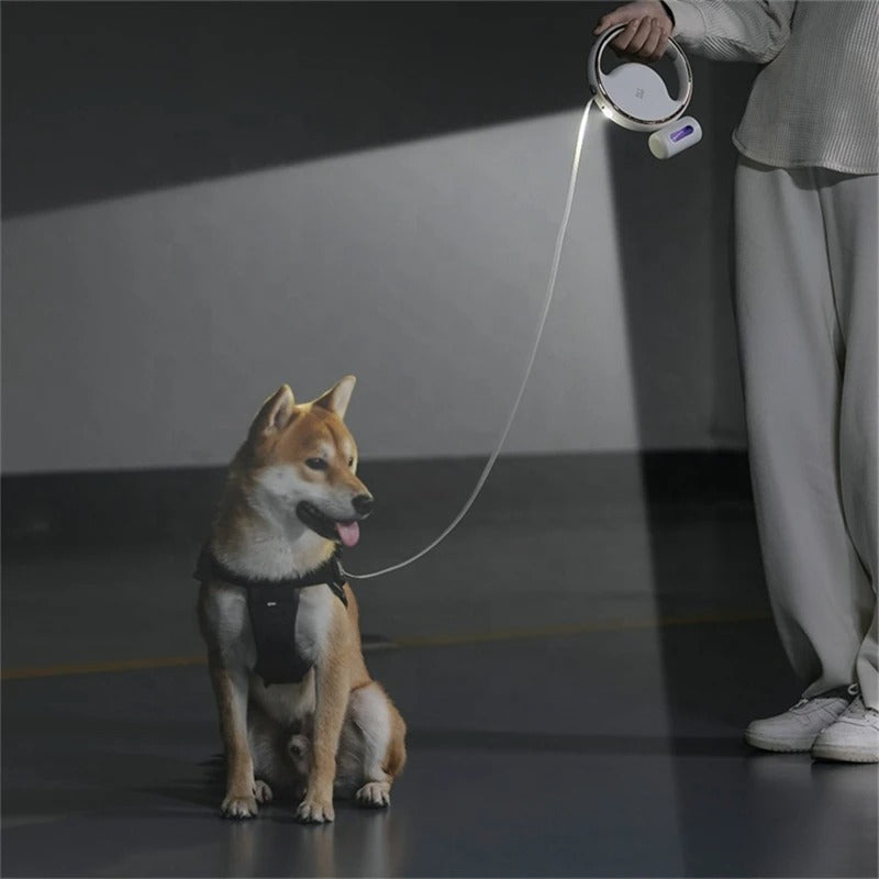 Automatische Veiligheidslijn voor Honden