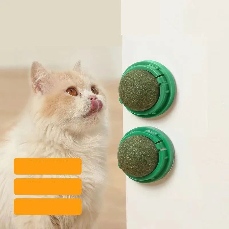 Catnip Ball 4 Stuks