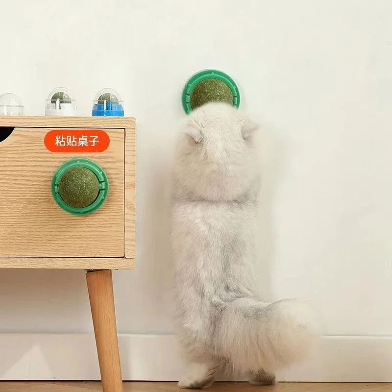 Catnip Ball 4 Stuks
