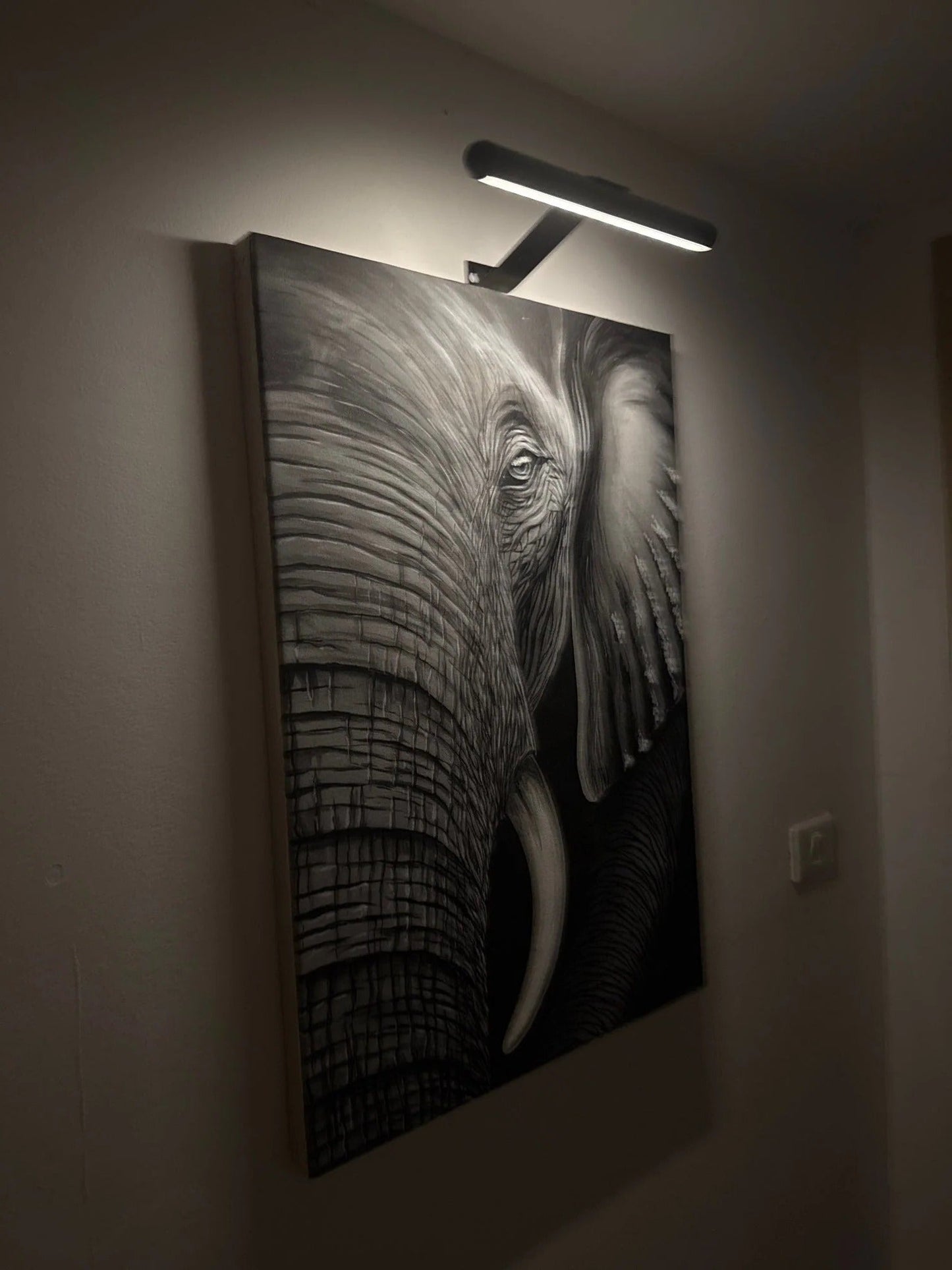 Draadloze LED Schilderijlamp Oplaadbaar Schilderij Verlichting