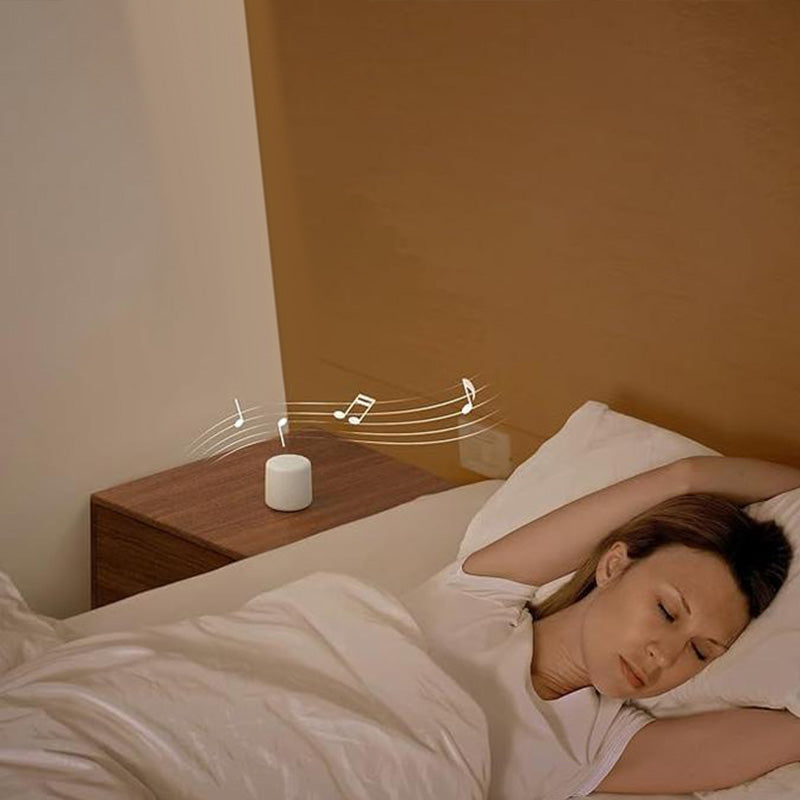 Draagbare Bluetooth-luidspreker