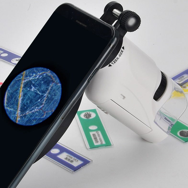 Draagbare LED Microscoop Speelgoed voor Kinderen