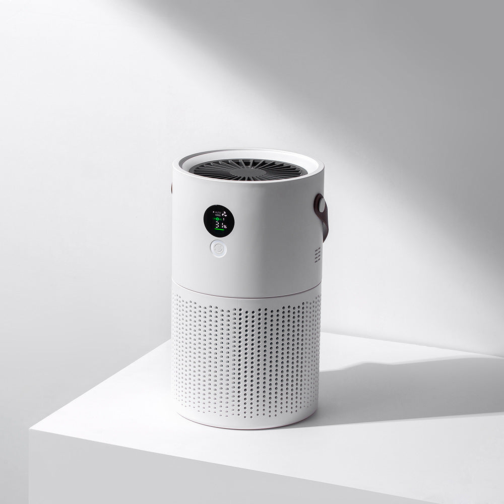 Draagbare Luchtreiniger HEPA Filter