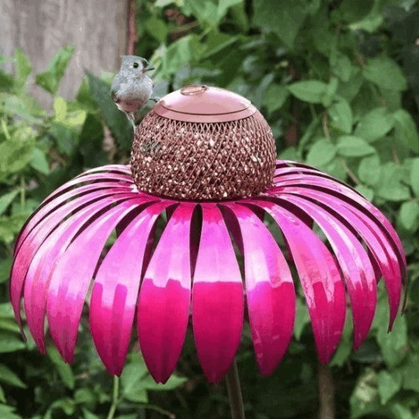 Echinacea Vogelvoeder Zaden