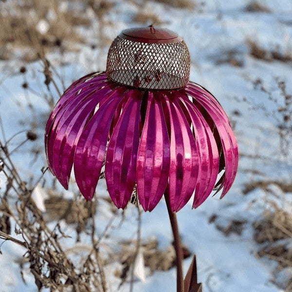 Echinacea Vogelvoeder Zaden