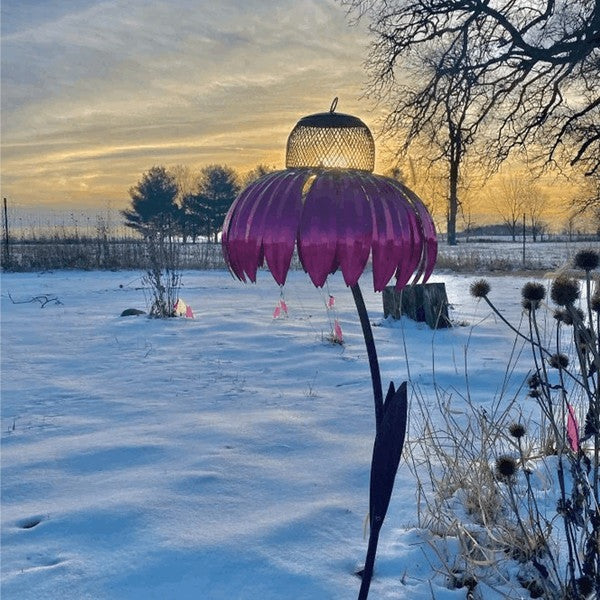 Echinacea Vogelvoeder Zaden