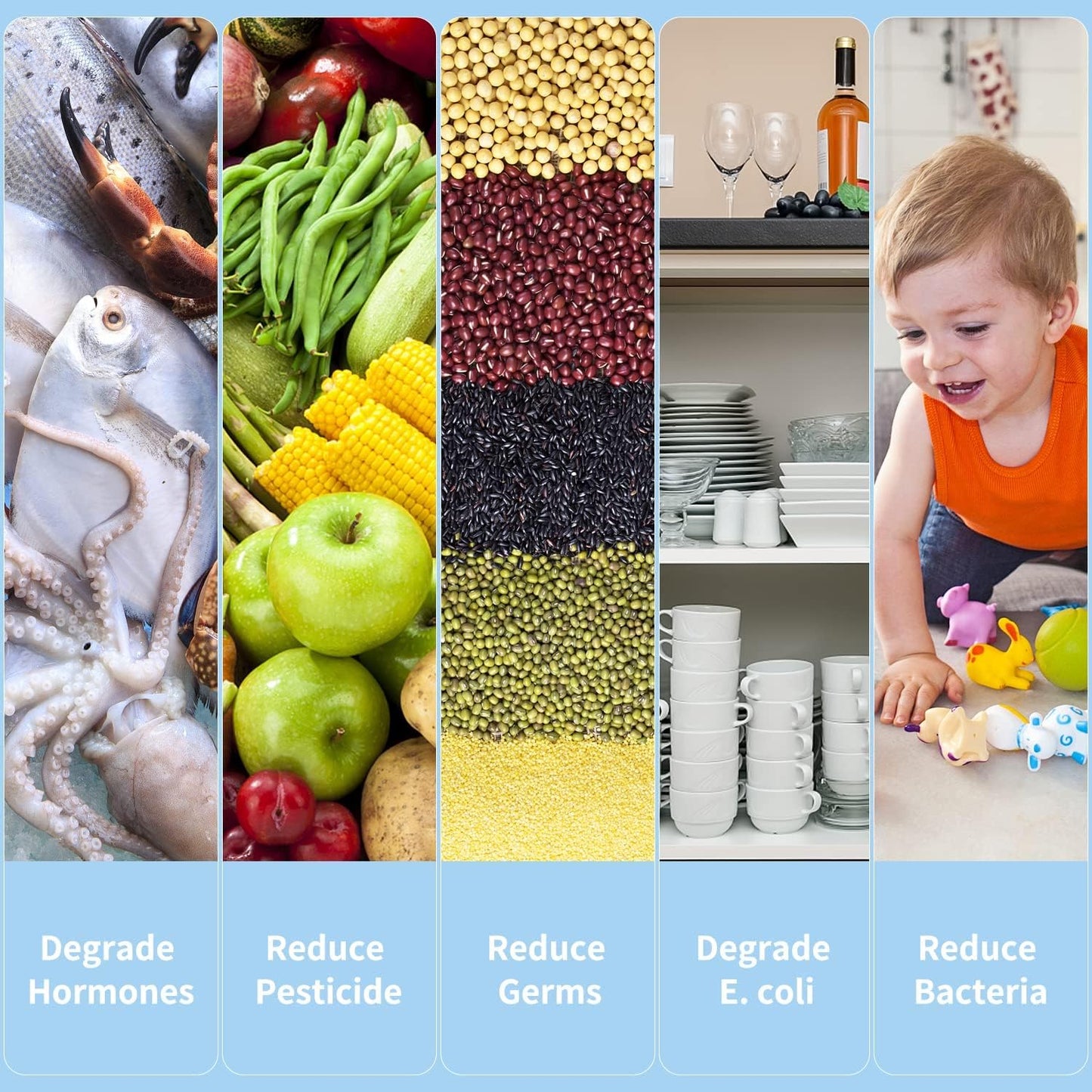 Fruit- en Groente Wasmachine voor Groenten en Fruit
