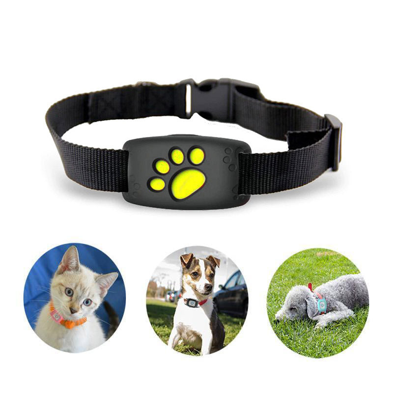GPS Kattenhalsband