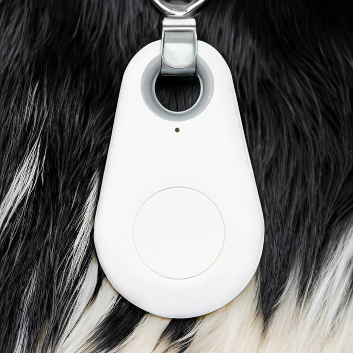 GPS Tracker Huisdieren Waterdicht