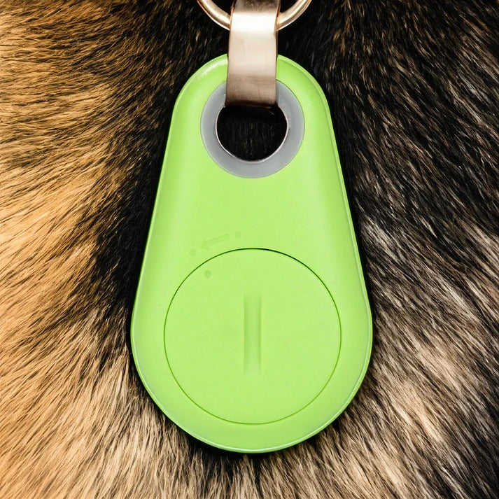 GPS Tracker Huisdieren Waterdicht