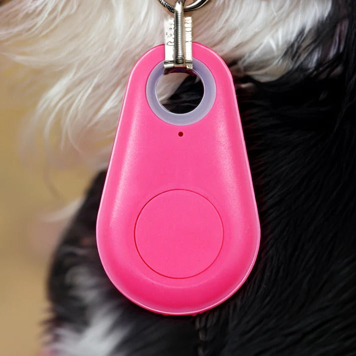 GPS Tracker Huisdieren Waterdicht