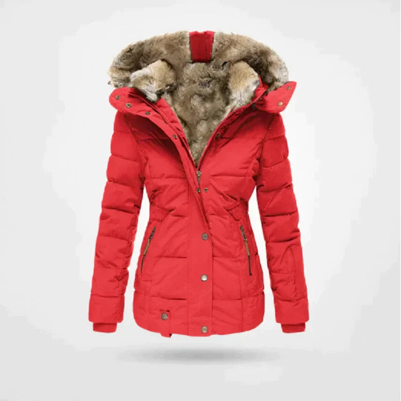 Winterjas dames met capuchon – Warme, stijlvolle en waterdichte winterjassen