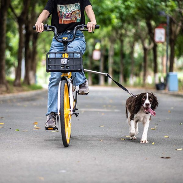 Hond Fiets Harnas Dierentuig Fietsharnas