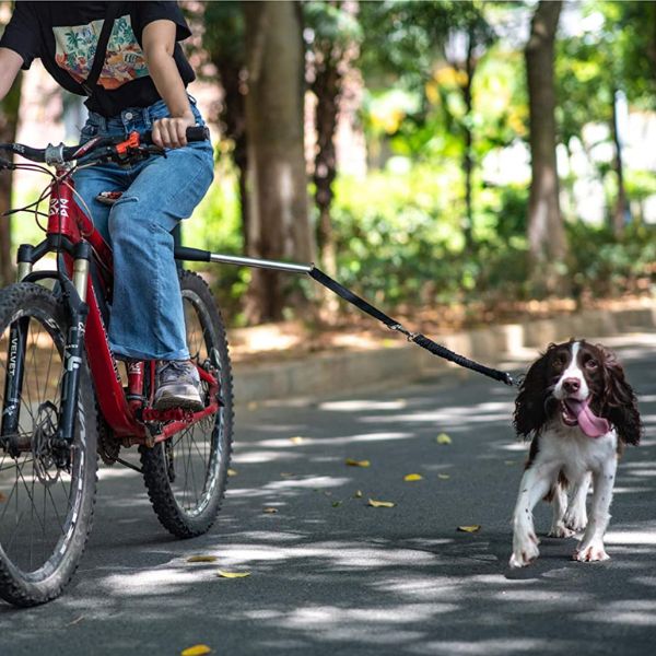 Hond Fiets Harnas Dierentuig Fietsharnas