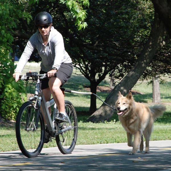Hond Fiets Harnas Dierentuig Fietsharnas