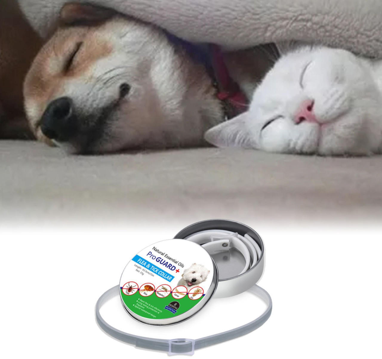 Hond Pest Kraag Anti-Vlooien Halsband