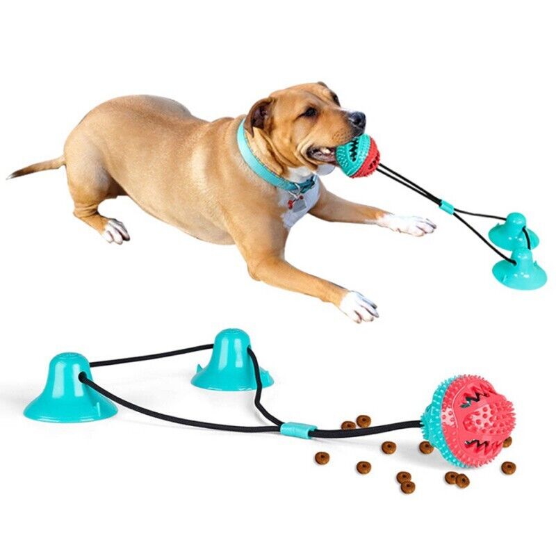 Hond Speelgoed Zuigvorm