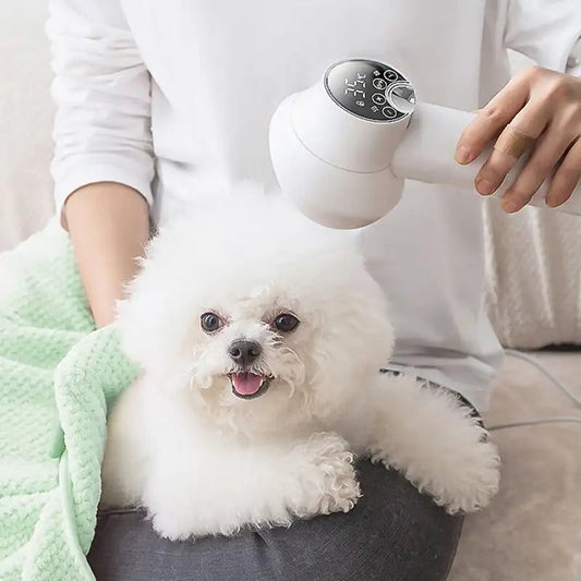 Honden Föhn 2-in-1 Slimme Dierverzorging