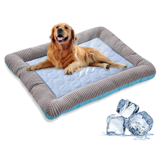 Hondenbed Koelend met IJszijde