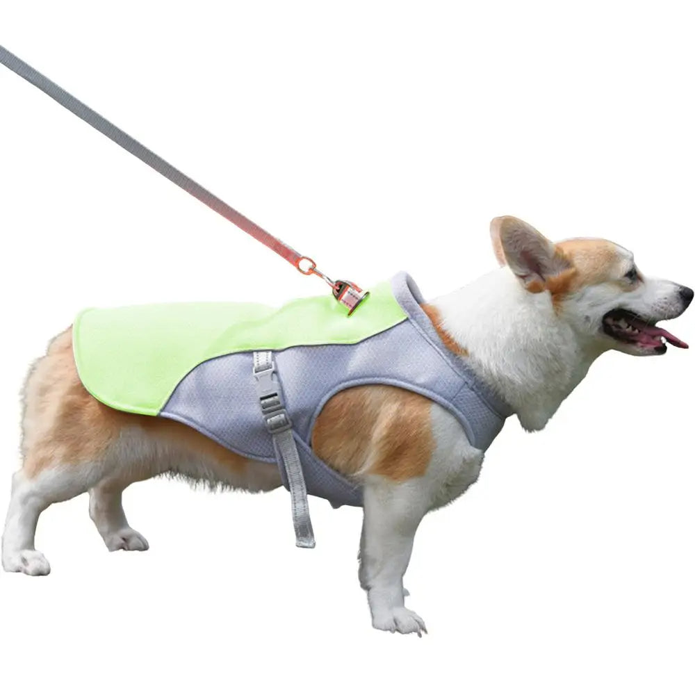 Hondenkoelvest voor Buitensporten