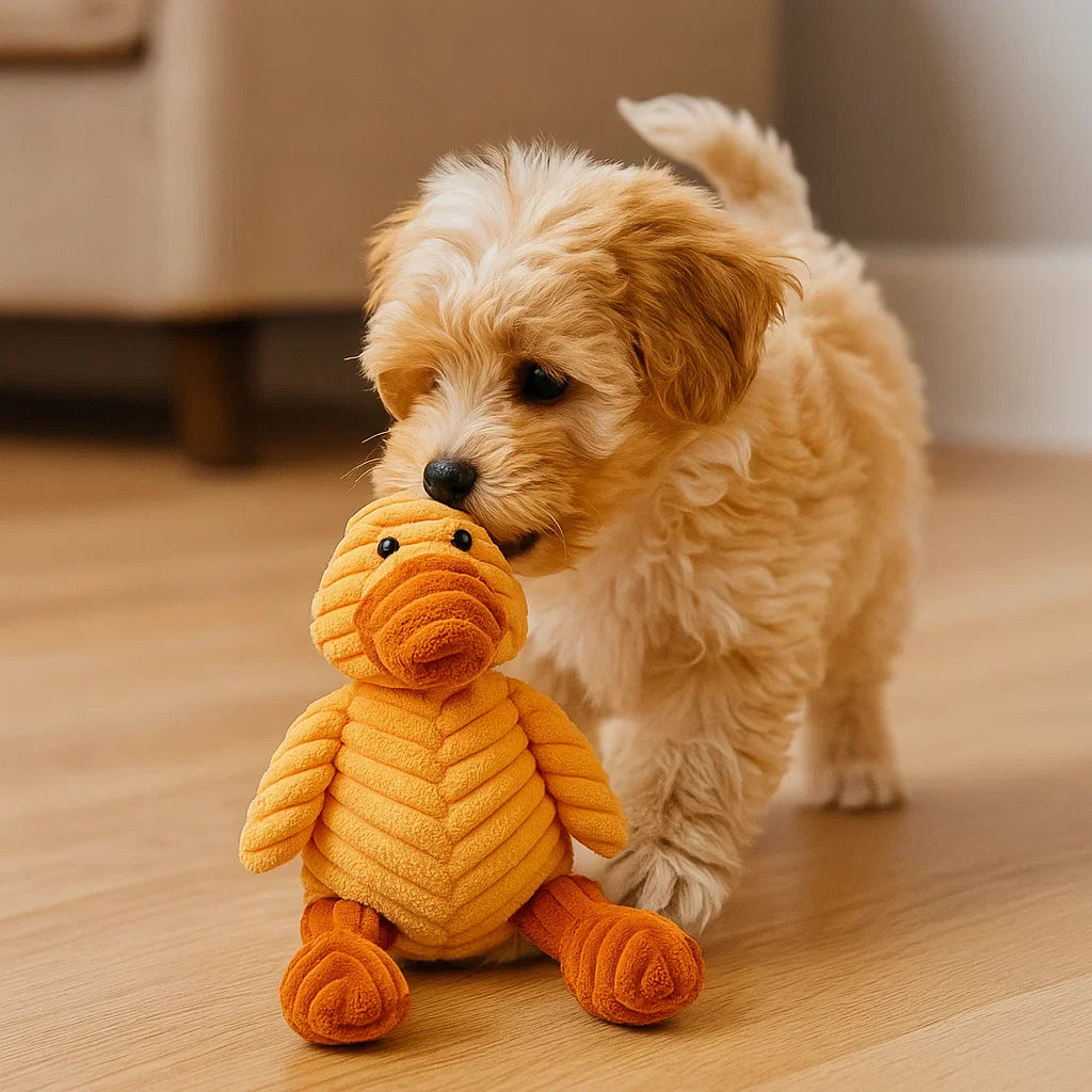 Hondenspeelgoed Pluche Kauwdier Squeaky