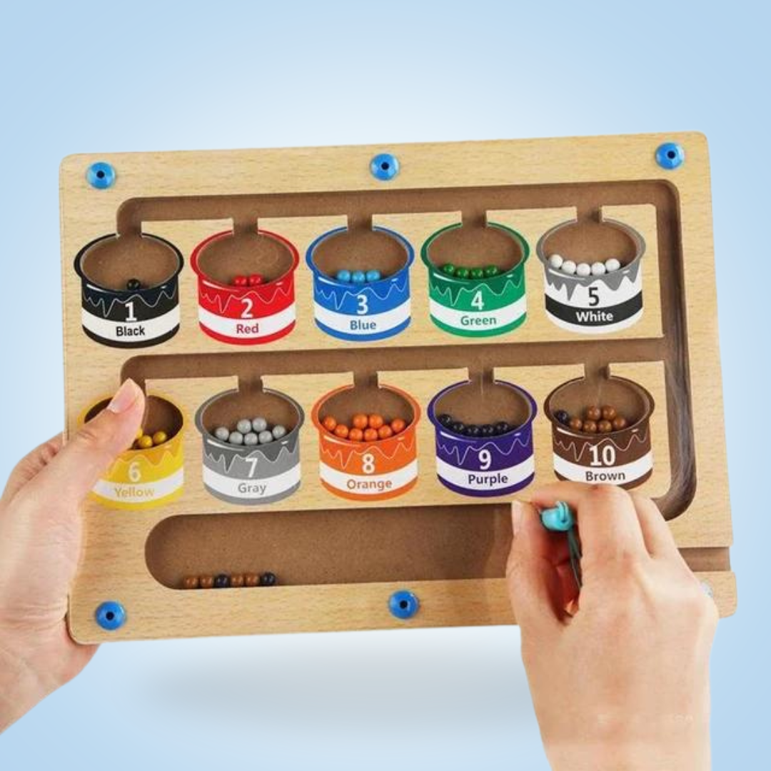 Houten Magnetisch Kleur Matching Speelgoed