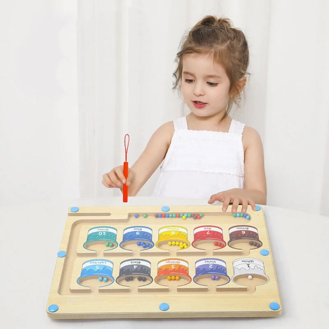 Houten Magnetisch Kleur Matching Speelgoed