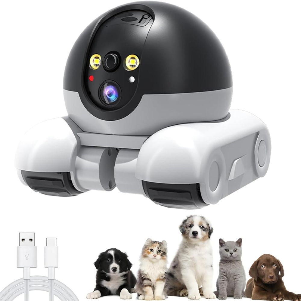 Huisdier Camera Hond Kat Binnenhuis