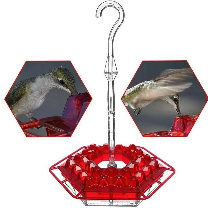 Hummingbird Feeder Hangend Buiten Perch