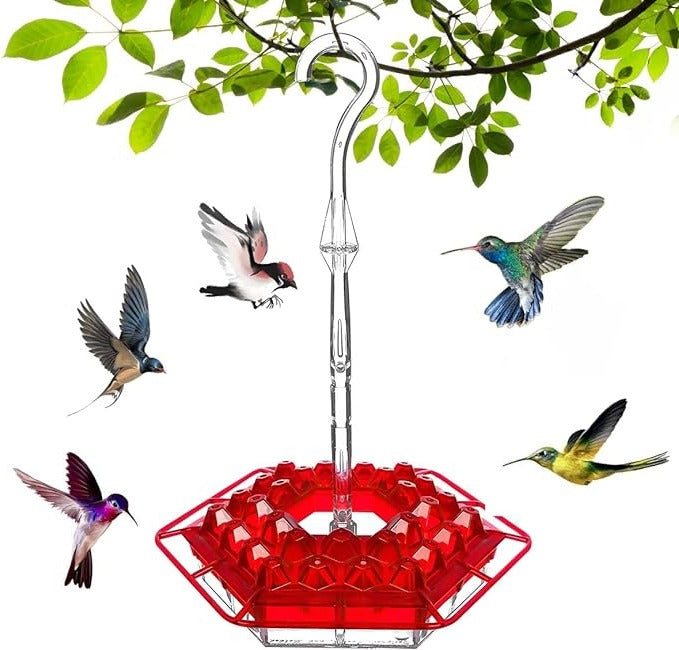 Hummingbird Feeder Hangend Buiten Perch