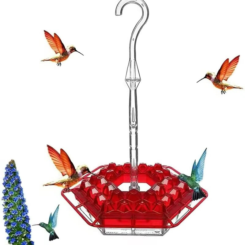 Hummingbird Feeder Hangend Buiten Perch