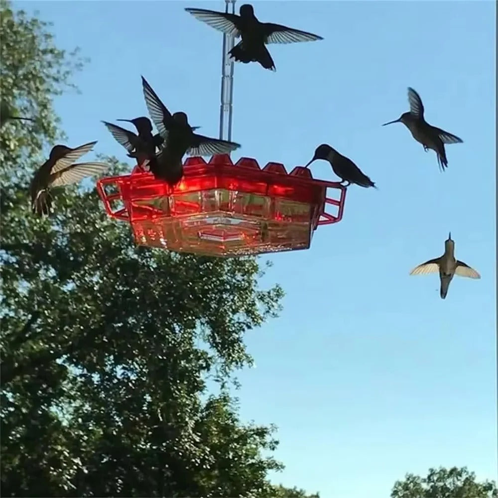 Hummingbird Feeder Hangend Buiten Perch