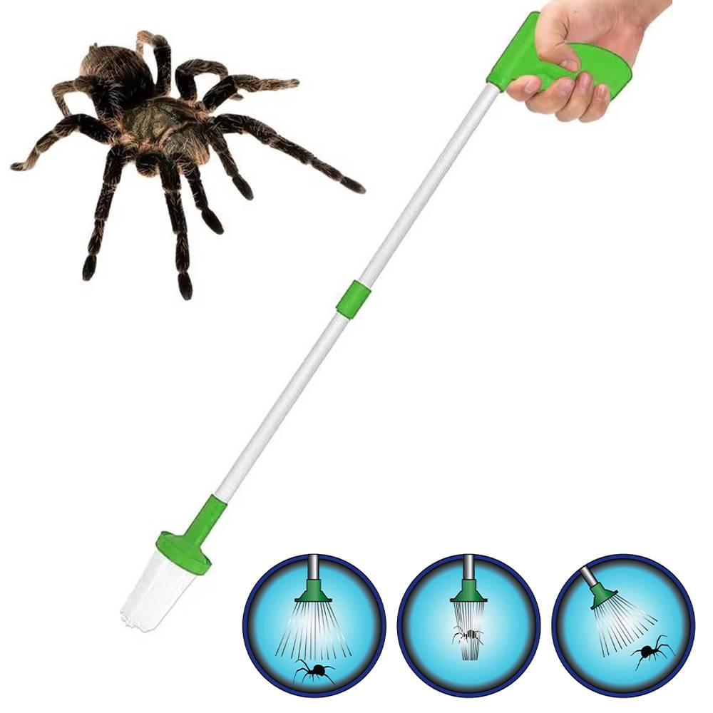 Insectenvanger