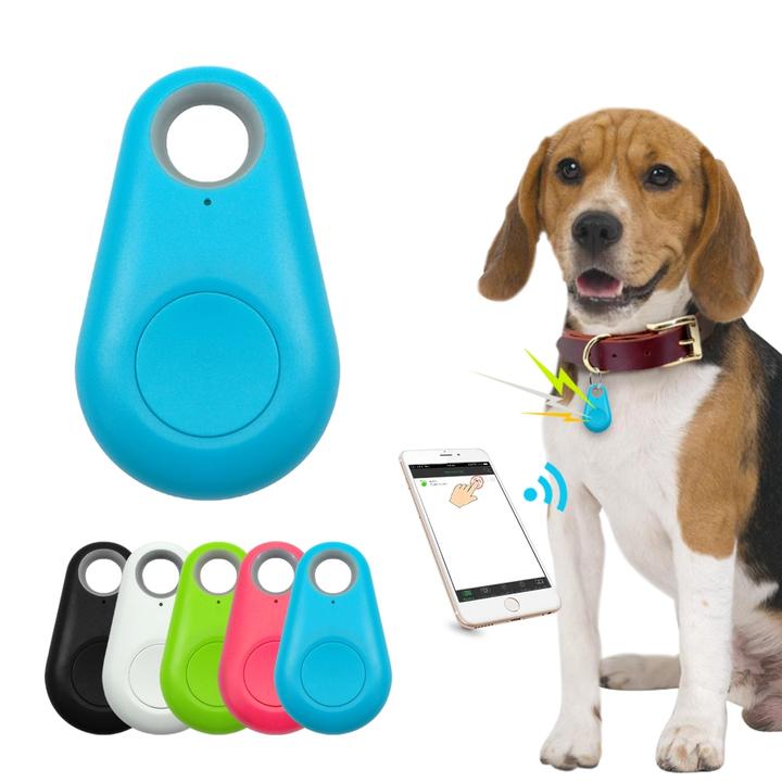 GPS Tracker Honden Katten