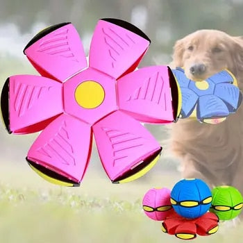 Interactief Honden Speelgoed Rubber Vliegende Schijf Bal