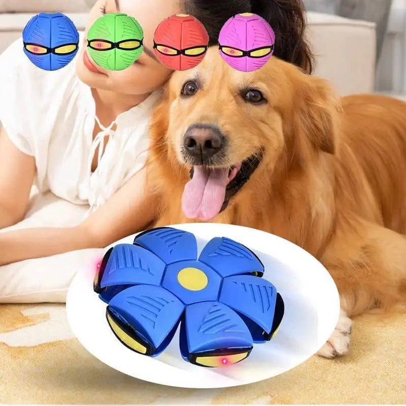 Interactief Honden Speelgoed Rubber Vliegende Schijf Bal