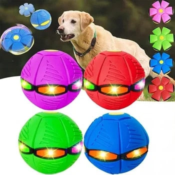 Interactief Honden Speelgoed Rubber Vliegende Schijf Bal