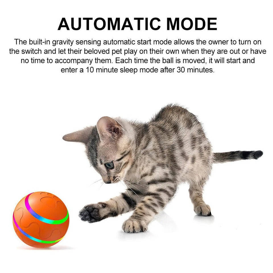 Interactief Hondenbal Speelgoed Dierenspeelgoed Bal