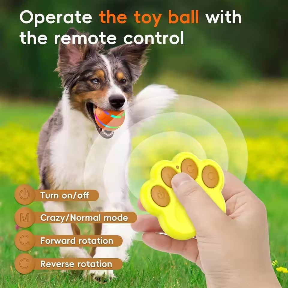 Interactief Hondenbal Speelgoed Dierenspeelgoed Bal