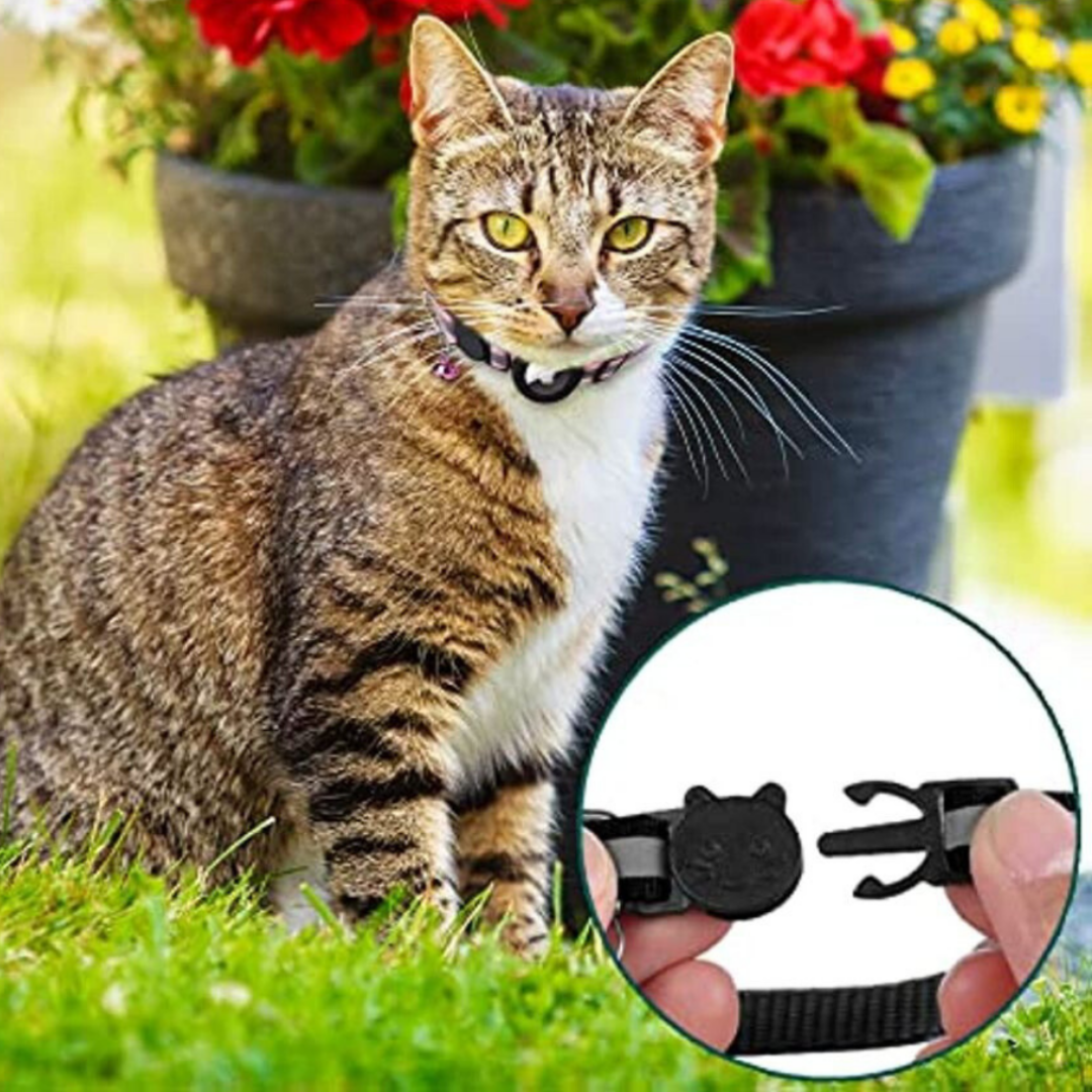 Kattenhalsband met Bel en GPS Trackerhouder