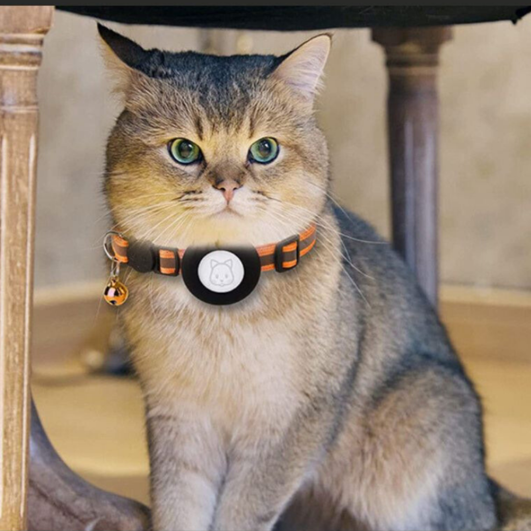 Kattenhalsband met Bel en GPS Trackerhouder