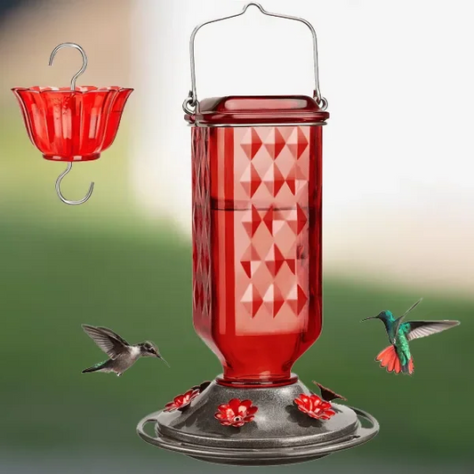 Kolibrie Voeder 24oz Glas