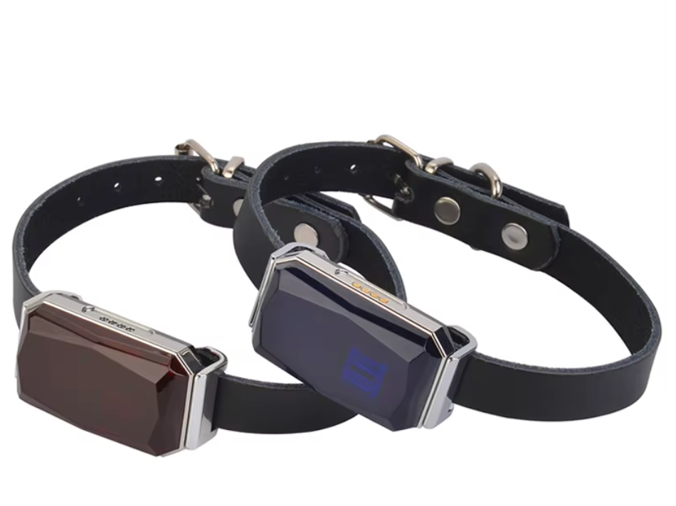 Mini GPS Tracker Kat Hond