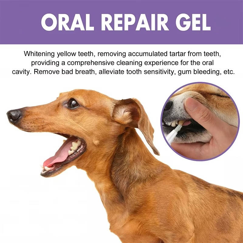 Mondherstel Gel 3 Set