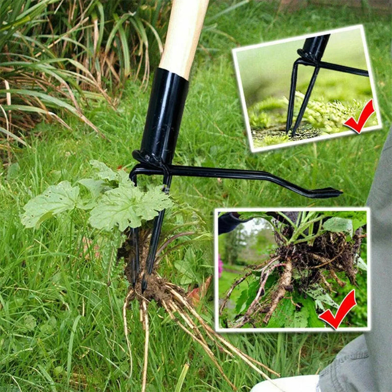 Onkruidsteekgereedschap Tuin Gereedschap
